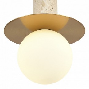 Подвесной светильник ST-Luce Earthy SL1194.303.01 в Урае - uray.ok-mebel.com | фото 5