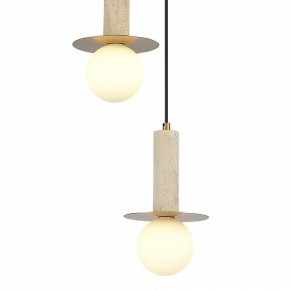 Подвесной светильник ST-Luce Earthy SL1194.303.03 в Урае - uray.ok-mebel.com | фото 4
