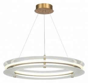 Подвесной светильник ST-Luce FAGY SL6245.203.01 в Урае - uray.ok-mebel.com | фото 2