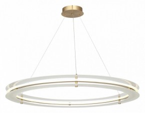 Подвесной светильник ST-Luce FAGY SL6245.213.01 в Урае - uray.ok-mebel.com | фото 4