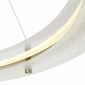 Подвесной светильник ST-Luce FAGY SL6245.213.01 в Урае - uray.ok-mebel.com | фото 6