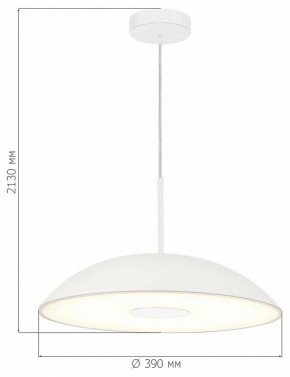 Подвесной светильник ST-Luce Lido SL6128.503.01 в Урае - uray.ok-mebel.com | фото 4