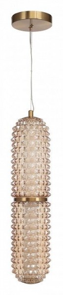 Подвесной светильник ST-Luce SAGUARO SL6144.303.01 в Урае - uray.ok-mebel.com | фото 3