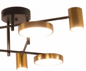 Потолочная люстра Kink Light Рапис 07645-6D,19(20) в Урае - uray.ok-mebel.com | фото 2