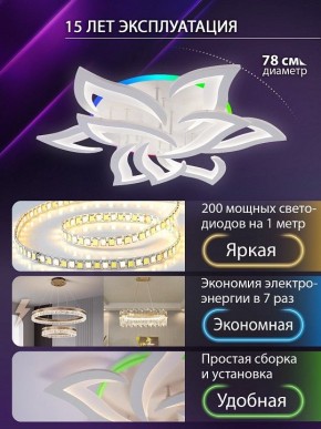 Потолочная люстра Natali Kovaltseva OLIMP LED LAMPS 81435 в Урае - uray.ok-mebel.com | фото 5