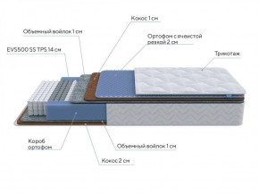 PROxSON Матрас Active Duo M/F (Ткань Трикотаж Эко) 120x190 в Урае - uray.ok-mebel.com | фото 6