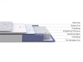 PROxSON Матрас Active Duo S/F (Ткань Трикотаж Эко) 180x200 в Урае - uray.ok-mebel.com | фото 2