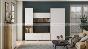 МИЛАН-1 Секция ТВ (ЦРК.МЛН.01 секция ТВ) в Урае - uray.ok-mebel.com | фото 3