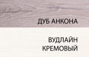 Шкаф 2DG, OLIVIA, цвет вудлайн крем/дуб анкона в Урае - uray.ok-mebel.com | фото 3