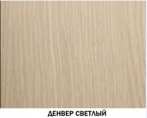 Шкаф для одежды №609 "Инна" Денвер светлый (*без полок) в Урае - uray.ok-mebel.com | фото 4