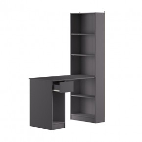 Шкаф комбинированный 10.01 Лайт (Темно - серый U2601) в Урае - uray.ok-mebel.com | фото 2