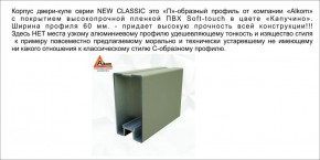 Шкаф-купе 1700 серии NEW CLASSIC K3+K3+B2+PL1 (2 ящика+1 штанга) профиль «Капучино» в Урае - uray.ok-mebel.com | фото 17