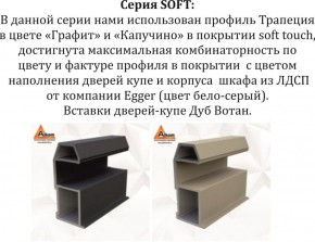 Шкаф-купе 1800 серии SOFT D1+D3+B2+PL1 (2 ящика+1штанга) профиль «Графит» в Урае - uray.ok-mebel.com | фото 11