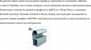 Шкаф-купе 2250 серии SILVER S3+S1+S3Z B22+PL2 (по 2 ящика лев/прав+1штанга+1 полка) профиль «Серебро» в Урае - uray.ok-mebel.com | фото 4