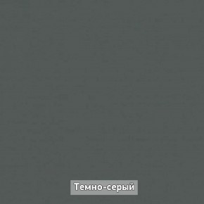 Шкаф купе без зеркала "Ольга-Лофт 10.1" в Урае - uray.ok-mebel.com | фото 7