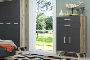 Шкаф низкий Вега Скандинавия в Урае - uray.ok-mebel.com | фото 8