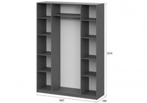 Шкаф платяной Даиго в Урае - uray.ok-mebel.com | фото 3