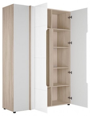 Шкаф платяной Данк в Урае - uray.ok-mebel.com | фото 2
