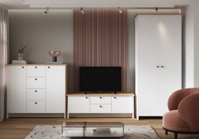 Шкаф платяной Теодора в Урае - uray.ok-mebel.com | фото 4