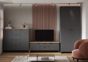 Шкаф платяной Теодора в Урае - uray.ok-mebel.com | фото 3