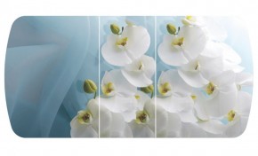 Стол Бостон-3 (Белая Орхидея) 1100/1420*700, опора Брифинг в Урае - uray.ok-mebel.com | фото 2