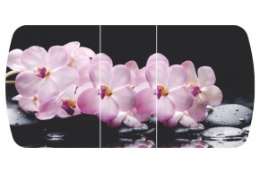 Стол Бостон-3 (Розовая Орхидея) 1100/1420*700, опора Брифинг в Урае - uray.ok-mebel.com | фото 2