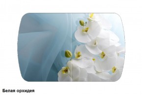 Стол Бостон 900*600 (опоры Брифинг) Стекло/фотопечать Белая Орхидея в Урае - uray.ok-mebel.com | фото
