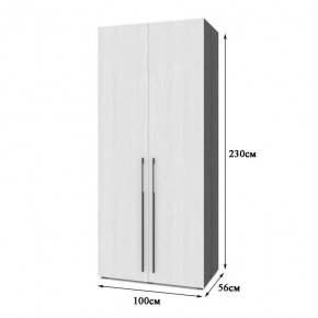 СТОУН С22 Шкаф 2-х створчатый (золотой дуб/графит) в Урае - uray.ok-mebel.com | фото 2
