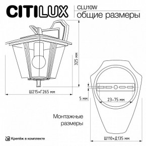 Светильник на штанге Citilux FORTS CLU10W в Урае - uray.ok-mebel.com | фото 9