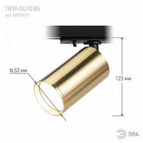 Светильник на штанге Эра  TR39-GU10 BS в Урае - uray.ok-mebel.com | фото 6