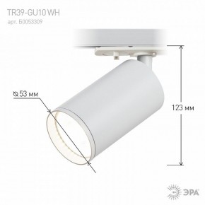 Светильник на штанге Эра  TR39-GU10 WH в Урае - uray.ok-mebel.com | фото 7