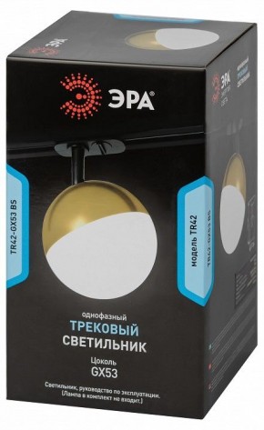 Светильник на штанге Эра  TR42-GX53 BS в Урае - uray.ok-mebel.com | фото 6