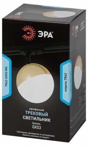 Светильник на штанге Эра  TR42-GX53 MG в Урае - uray.ok-mebel.com | фото 6