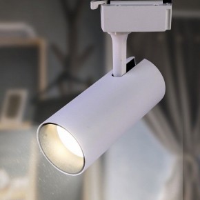 Светильник на штанге Эра  TR5-10 COB WH в Урае - uray.ok-mebel.com | фото 3