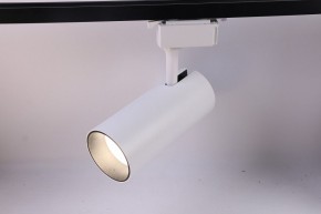 Светильник на штанге Эра  TR5-30 COB WH в Урае - uray.ok-mebel.com | фото 2