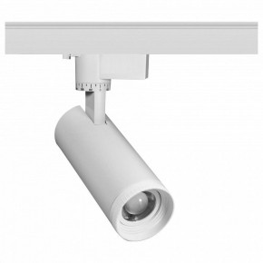 Светильник на штанге Эра  TR59 - 2030 WH в Урае - uray.ok-mebel.com | фото