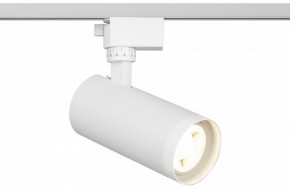 Светильник на штанге Эра  TR59 - 2040 WH в Урае - uray.ok-mebel.com | фото