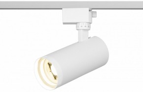 Светильник на штанге Эра  TR59 - 2040 WH в Урае - uray.ok-mebel.com | фото 5