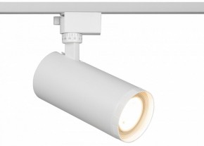 Светильник на штанге Эра  TR59 - 3030 WH в Урае - uray.ok-mebel.com | фото