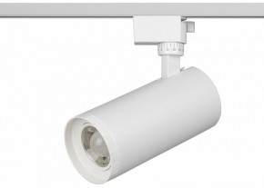 Светильник на штанге Эра  TR59 - 3030 WH в Урае - uray.ok-mebel.com | фото 2