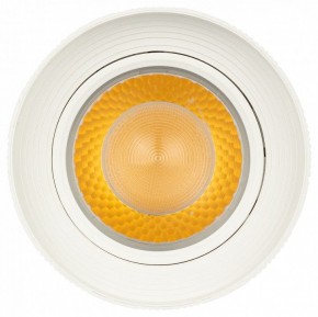 Светильник на штанге Эра  TR59 - 3030 WH в Урае - uray.ok-mebel.com | фото 3