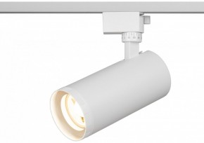 Светильник на штанге Эра  TR59 - 3030 WH в Урае - uray.ok-mebel.com | фото 5