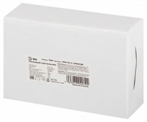 Светильник на штанге Эра  TRM-S5-3-12W4K-BK в Урае - uray.ok-mebel.com | фото 8