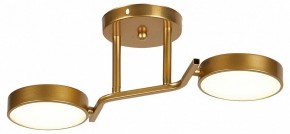 Светильник на штанге Escada Starlight 10273/2LED в Урае - uray.ok-mebel.com | фото