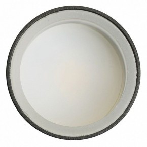 Светильник на штанге Feron ML1001 51371 в Урае - uray.ok-mebel.com | фото 4