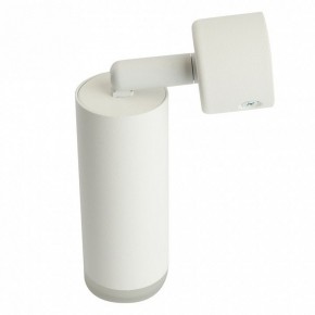 Светильник на штанге Feron ML1021 51390 в Урае - uray.ok-mebel.com | фото 3