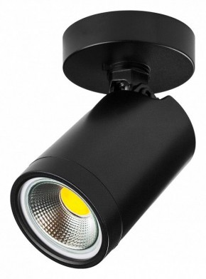 Светильник на штанге Lightstar Rullo 213407 в Урае - uray.ok-mebel.com | фото