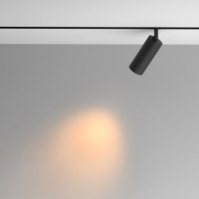 Светильник на штанге Maytoni Artisan TR097-2-12W2.7K-M-BB в Урае - uray.ok-mebel.com | фото 4