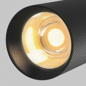 Светильник на штанге Maytoni Artisan TR097-2-12W2.7K-M-BB в Урае - uray.ok-mebel.com | фото 9