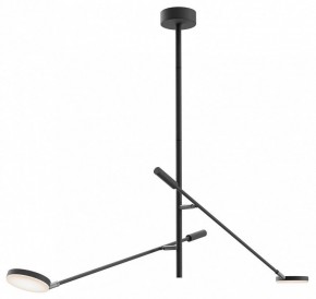 Светильник на штанге Maytoni Fad MOD070CL-L15B3K1 в Урае - uray.ok-mebel.com | фото